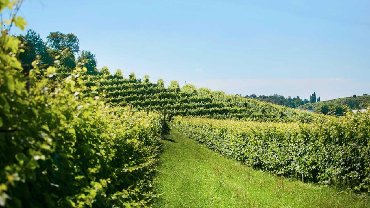 Agriturismo Roccat Valdobbiadene Ngoại thất bức ảnh