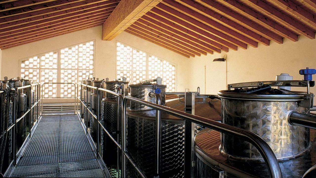 Agriturismo Roccat Valdobbiadene Ngoại thất bức ảnh